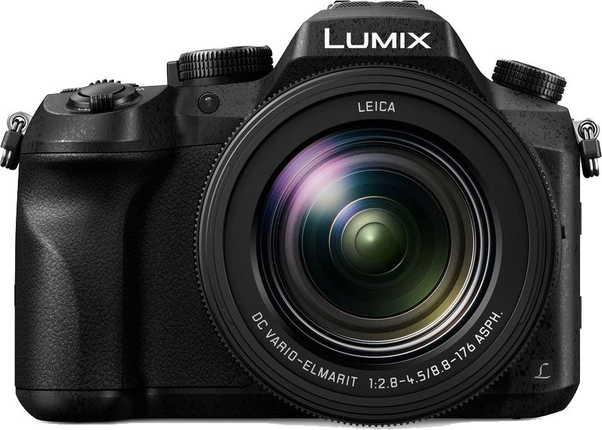 Panasonic Lumix DMC-FZ2500 Digital Camera - Horn Photo