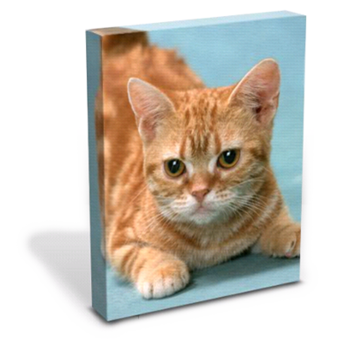 Vistek 11x14 Gallery Wrapped Canvas (Vertical) Vistek