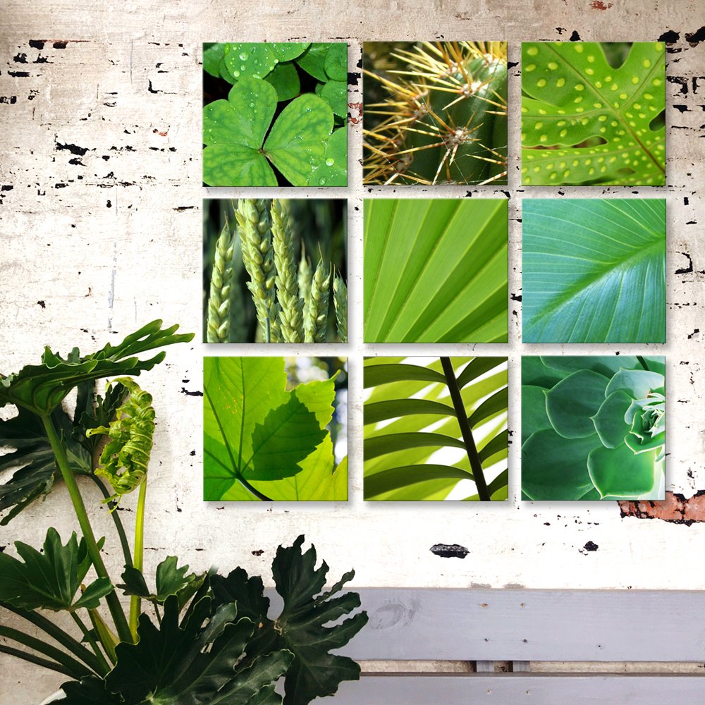 Cluster Canvas and Fine Art Wraps