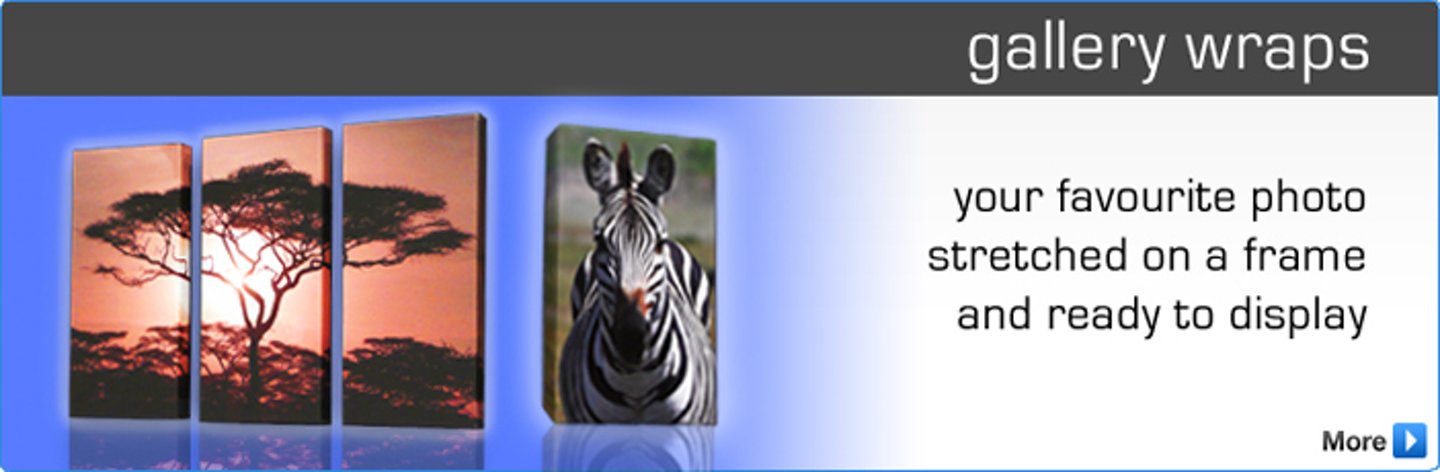 Welcome to Burlington Camera & Digital | Home