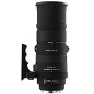 Sigma APO 150-500mm F5-6.3 DG OS HSM for Canon - Camera Land NY Sigma APO 150-500mm F5-6.3 DG OS HSM for Canon - Camera Land NY