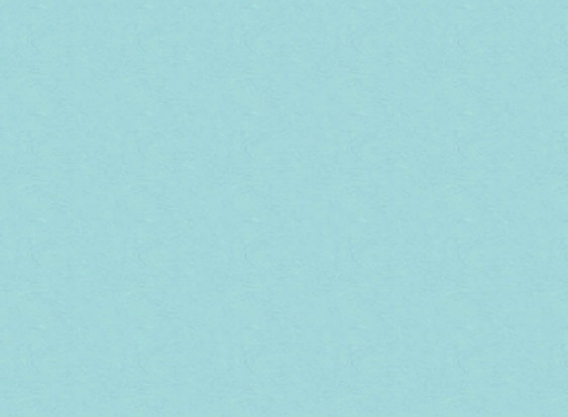 Superior Specialties Inc. 107'' x 36' Seamless Background Paper 02