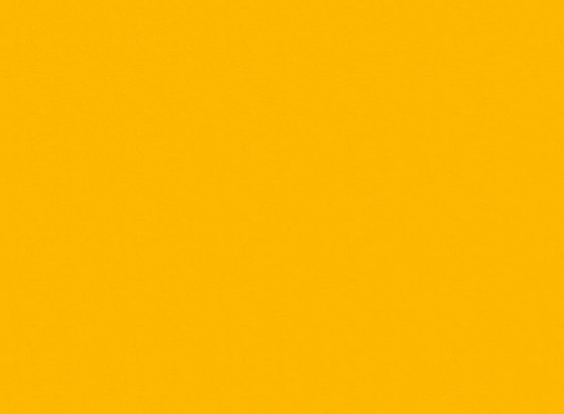 Superior Specialties Inc. 107'' x 36' Seamless Background Paper 14