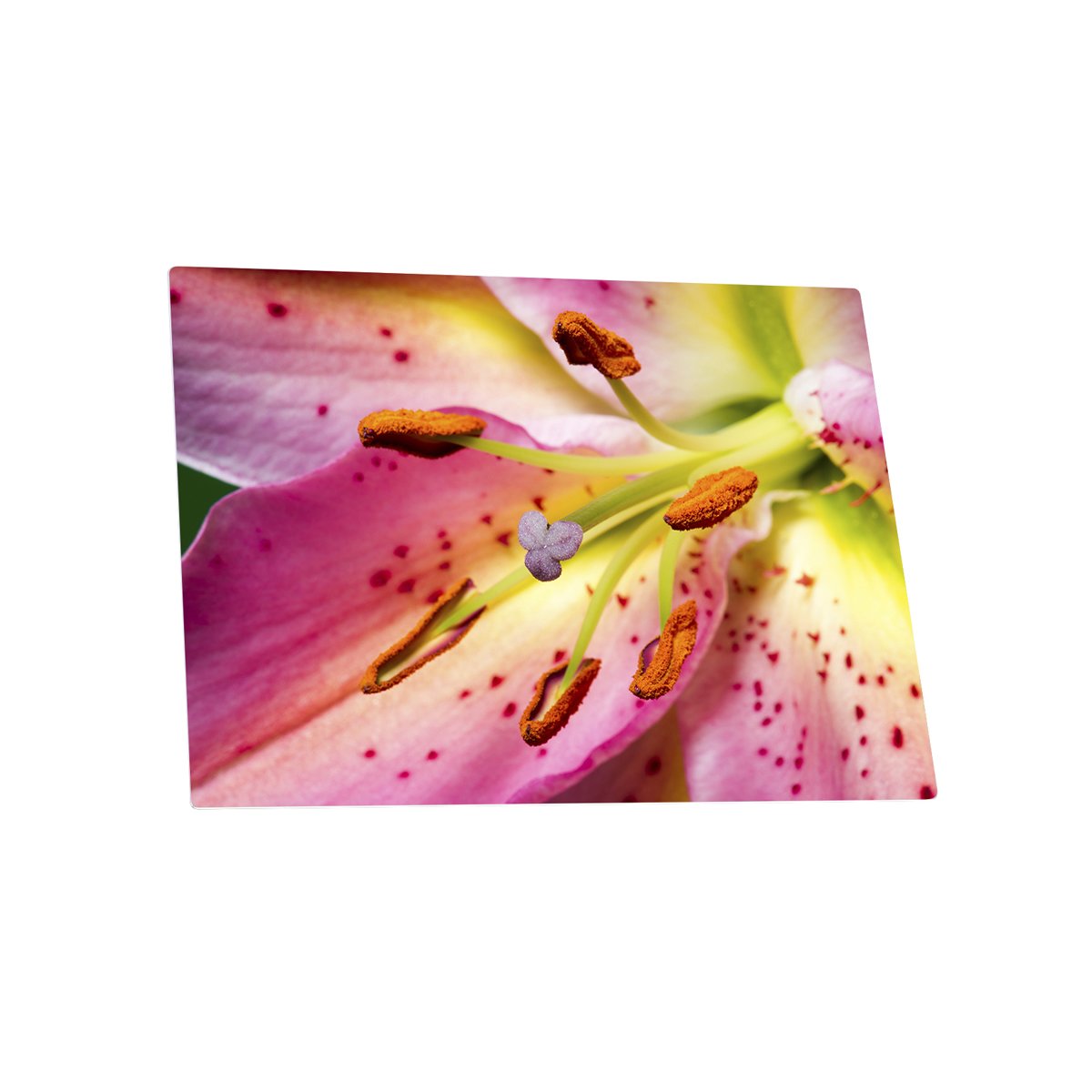 10x8 (20x25cm) Metal Photo Panel