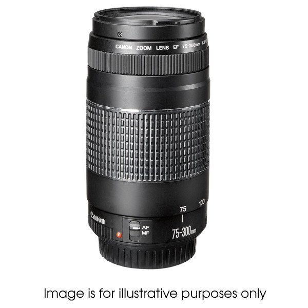 Canon Used Canon 75 300 F4 5 6 The Camera Company