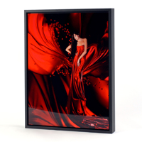 24x36 Vertical Black Frame Metal Panel