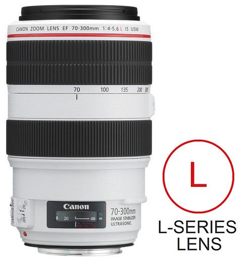 Canon EF 70-300mm f4-5.6L IS USM - Orleans Camera