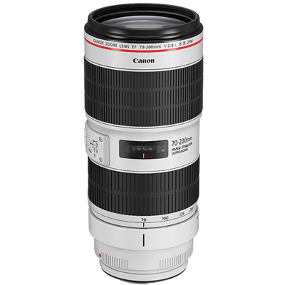 Canon EF 70-200mm F2.8L IS III USM - Zone Image Valleyfield