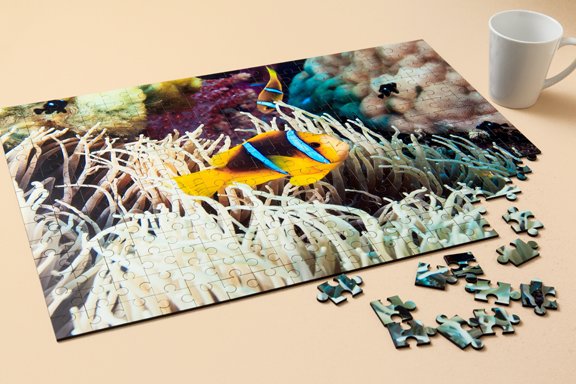 256 Piece Puzzle