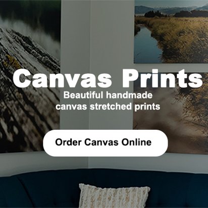 Order canvas deals