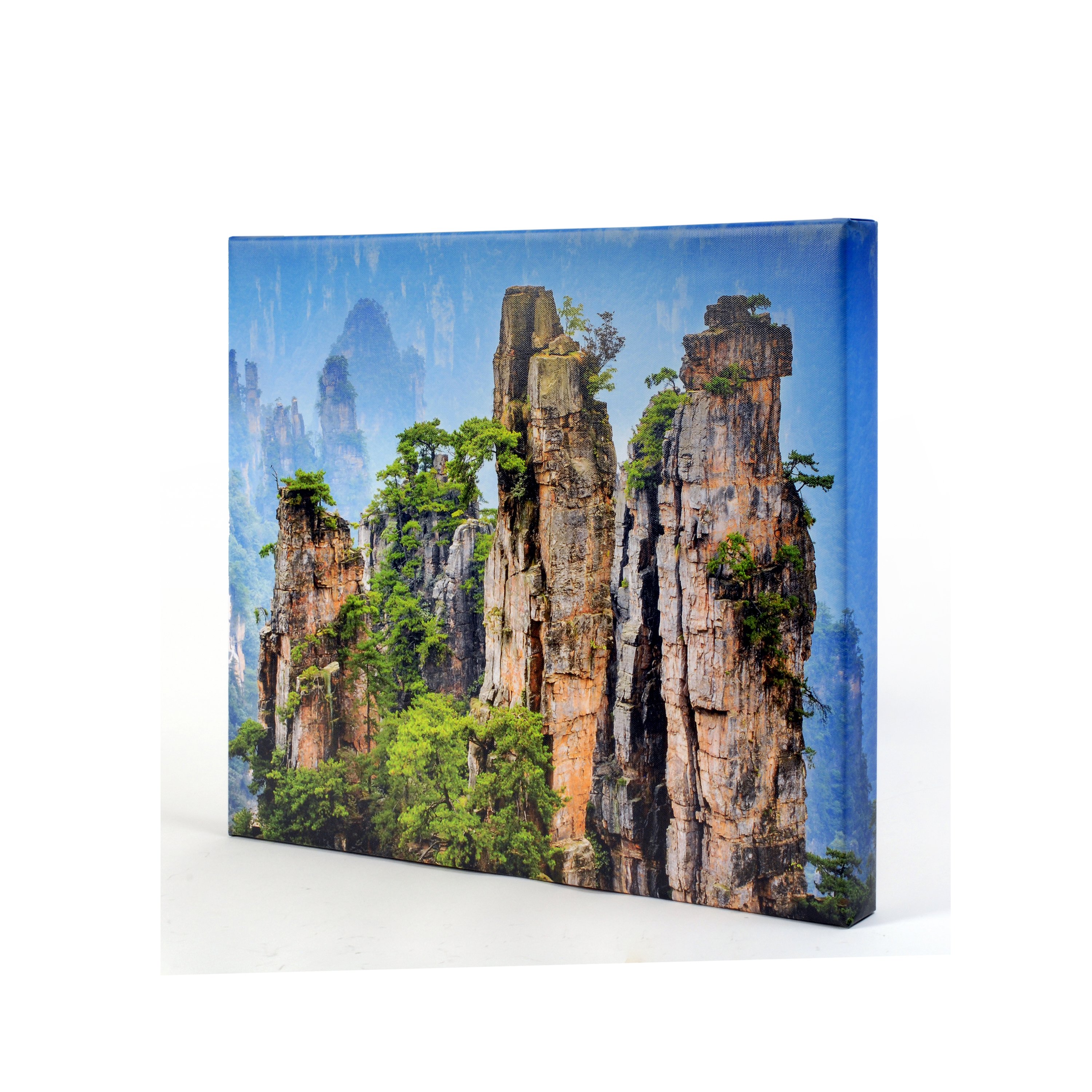 Pitman Photo Supply 20 x 20 Canvas - 1.5 inch Image Wrap - Pitman