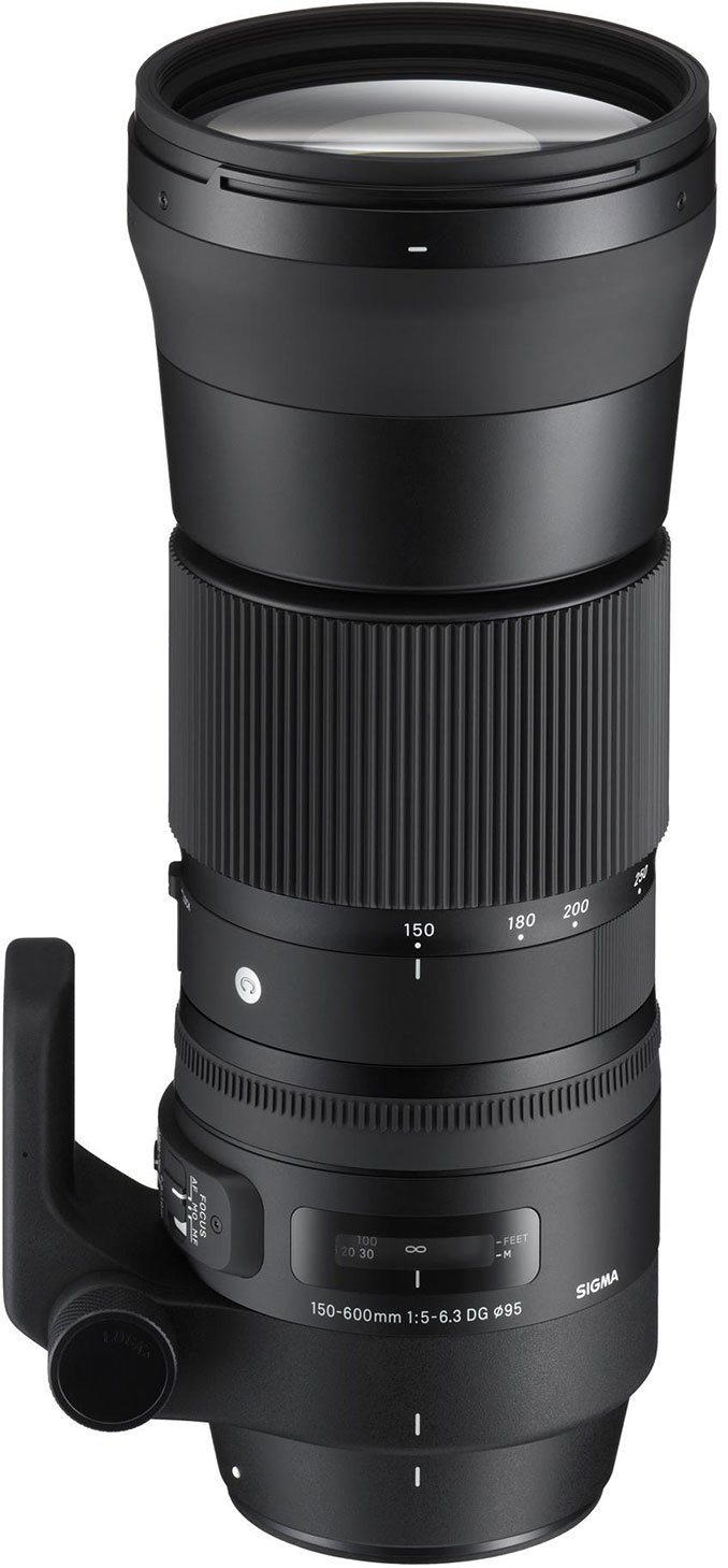 Sigma 150-600mm F5-6.3 DG OS HSM Contemporary for Nikon F - New