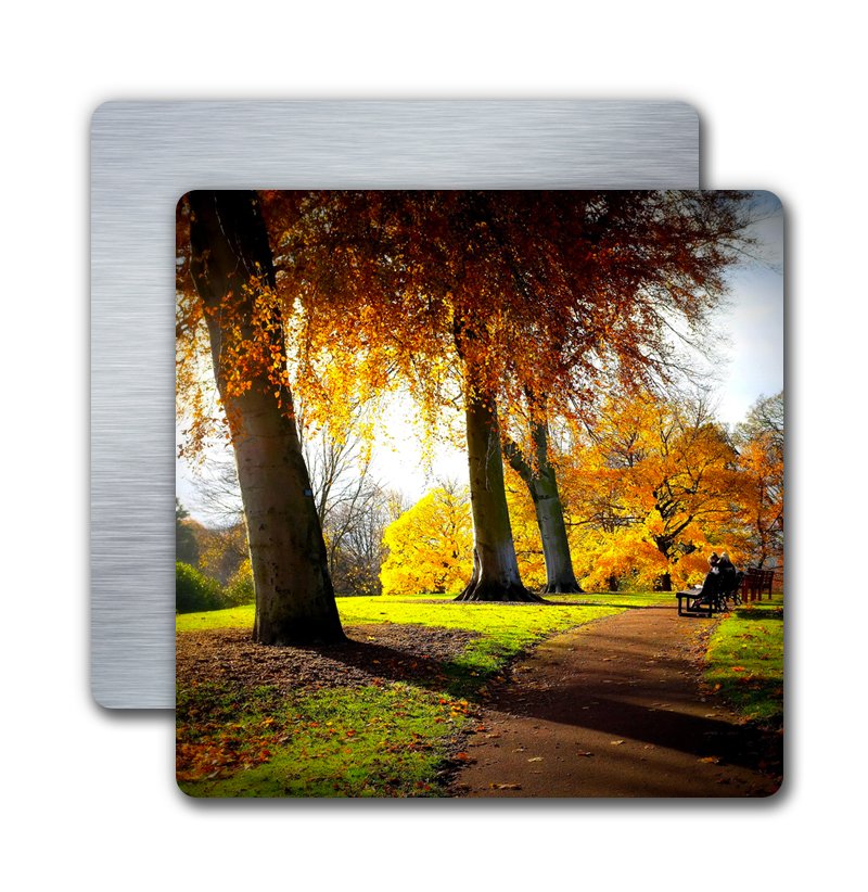 Annex Photo & Digital Imaging 8x8 Metal Print (Square) - Annex