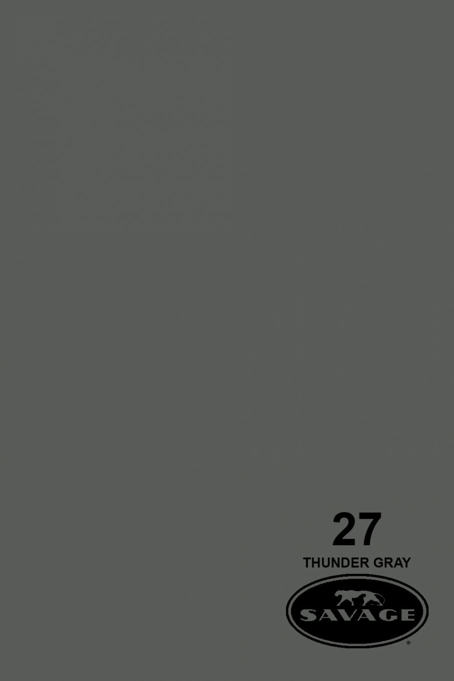 Savage-Universal Widetone Seamless Background Paper 107'' x 12 yards (27 Thunder Gray)