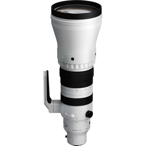 Sigma 300-600mm f4 DG OS Sports - Sony E