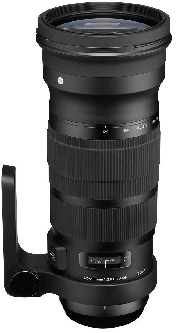 Sigma 120-300mm F2.8 Sports ニコン #4904 Sigma 120-300mm F2.8 DG OS HSM 