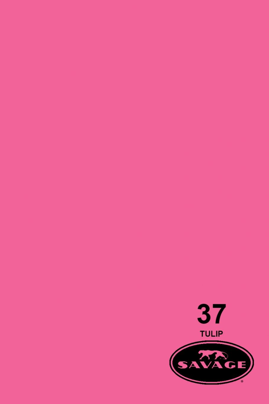 Savage-Universal Widetone Seamless Background Paper 107'' x 12 yards (37 Tulip)