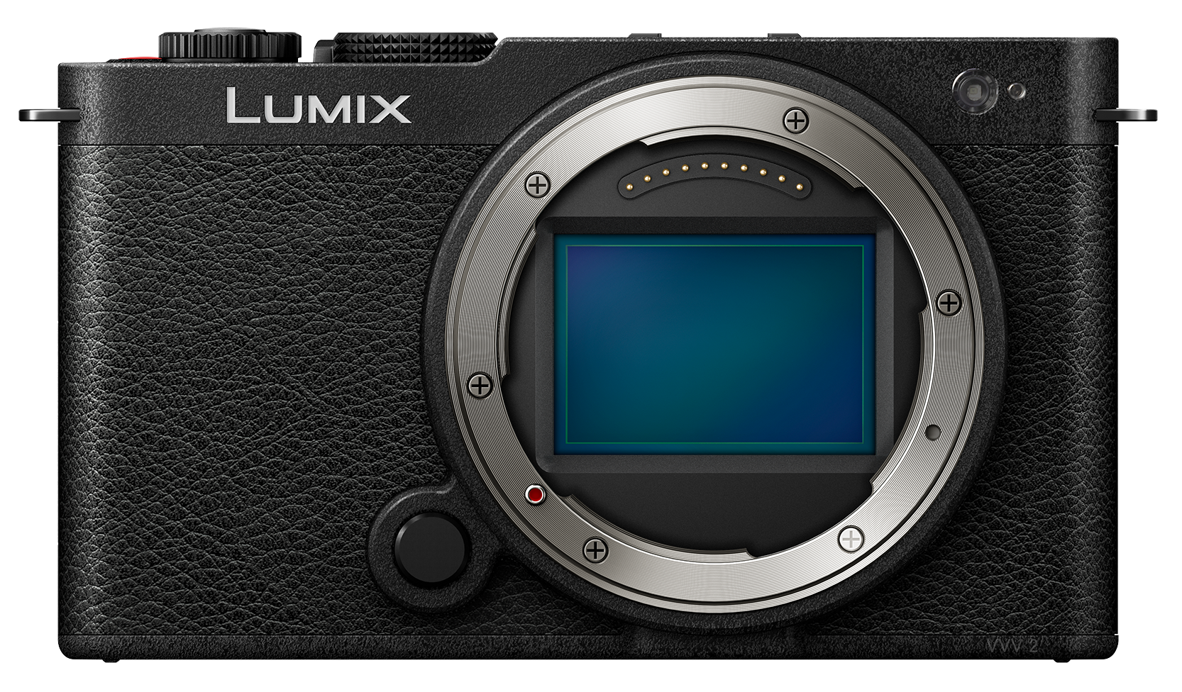 Panasonic Lumix S Macro Lens