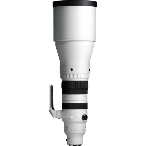Sigma 300-600mm f4 DG OS Sports - Sony E